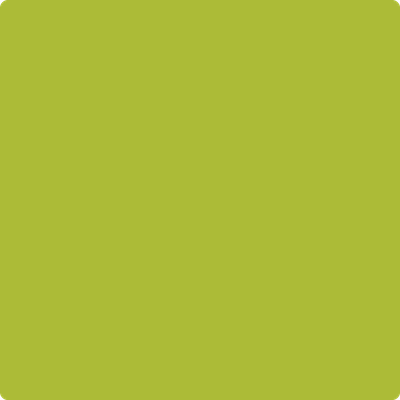 Shop Benajmin Moore's 2027-20 Spring Moss at Regal Paint Centers in Maryland & Virgina. Maryland's favorite Benjamin Moore dealer.