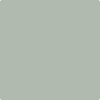 2138-50 Misted Green by Benjamin Moore