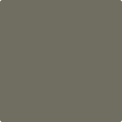 Shop Benajmin Moore's 2139-30 Sharkskin at Regal Paint Centers in Maryland & Virgina. Maryland's favorite Benjamin Moore dealer.