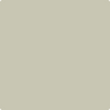 2142-50 Gray Mirage by Benjamin Moore