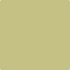 2147-40 Dill Pickle by Benjamin Moore