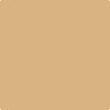 Shop Benajmin Moore's 2165-40 Dark Beige at Regal Paint Centers in Maryland & Virgina. Maryland's favorite Benjamin Moore dealer.