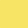 Shop Benajmin Moore's 335 Delightful Yellow at Regal Paint Centers in Maryland & Virgina. Maryland's favorite Benjamin Moore dealer.
