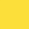 Shop Benajmin Moore's 336 Bold Yellow at Regal Paint Centers in Maryland & Virgina. Maryland's favorite Benjamin Moore dealer.
