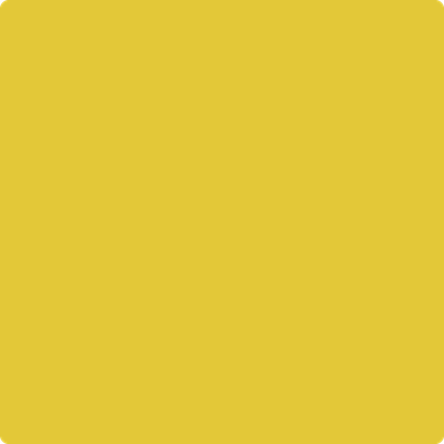 Shop Benajmin Moore's 357 Yellow Hibiscus at Regal Paint Centers in Maryland & Virgina. Maryland's favorite Benjamin Moore dealer.