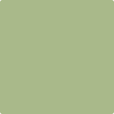Shop Benajmin Moore's 431 Central Park at Regal Paint Centers in Maryland & Virgina. Maryland's favorite Benjamin Moore dealer.