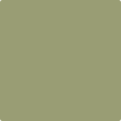 Shop Benajmin Moore's 482 Misted Fern at Regal Paint Centers in Maryland & Virgina. Maryland's favorite Benjamin Moore dealer.