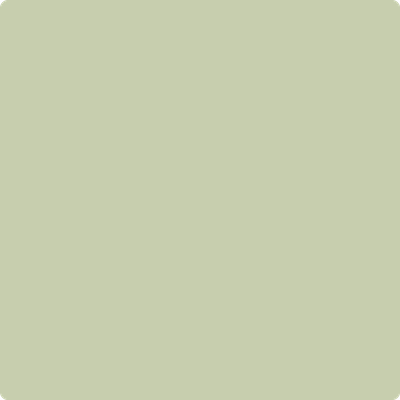 Shop Benajmin Moore's 486 Spring Meadow at Regal Paint Centers in Maryland & Virgina. Maryland's favorite Benjamin Moore dealer.