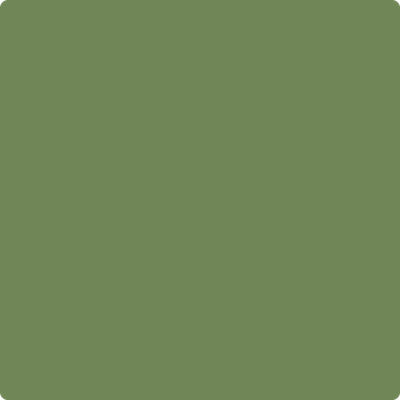 Shop Benajmin Moore's 546 Courtyard Green at Regal Paint Centers in Maryland & Virgina. Maryland's favorite Benjamin Moore dealer.