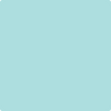 Shop Benajmin Moore's 730 San Clemente Teal at Regal Paint Centers in Maryland & Virgina. Maryland's favorite Benjamin Moore dealer.