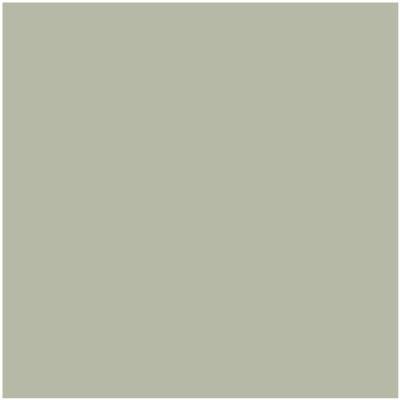 Shop Benajmin Moore's CC-550 October Mist at Regal Paint Centers in Maryland & Virgina. Maryland's favorite Benjamin Moore dealer.