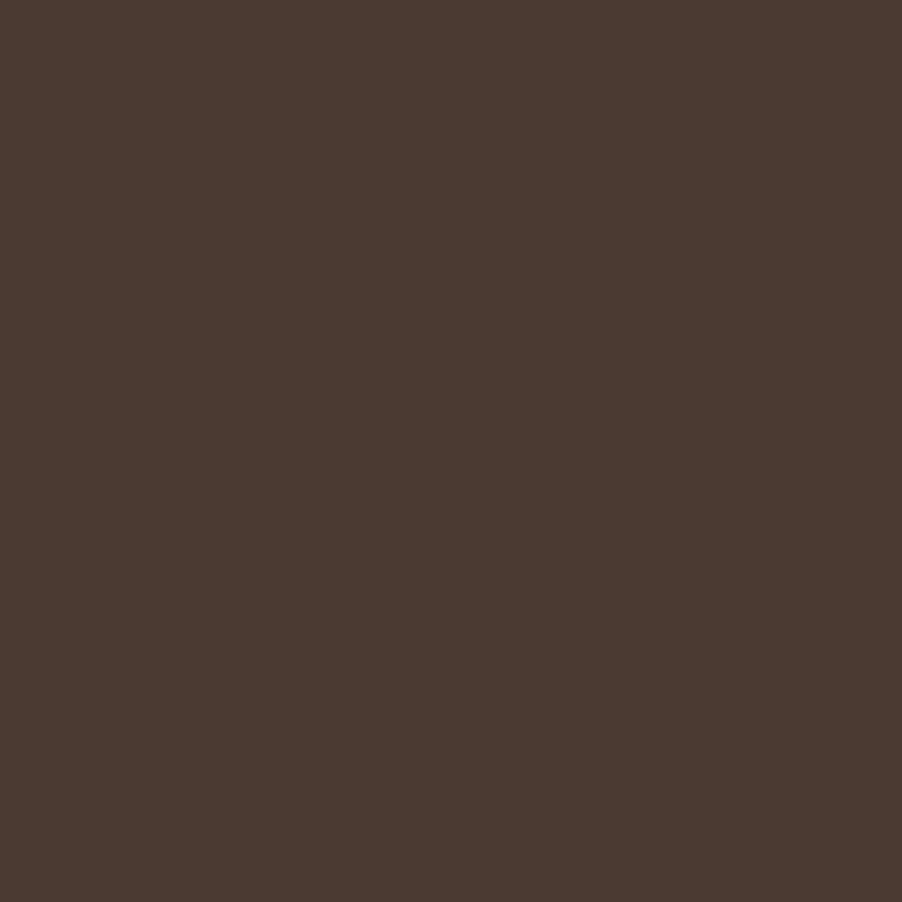 CW-170 Tarpley Brown a Benjamin Moore paint color from the Williamsburg Color Collection.