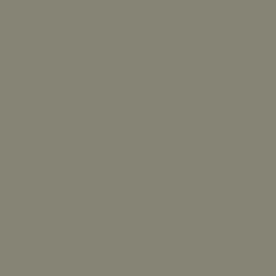 Shop CW-65 Gunsmith Gray Benjamin Moore colors at Regal Paint Centers in Maryland
