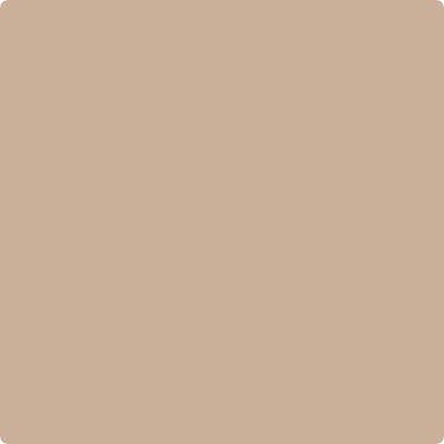 Shop Benajmin Moore's CC-366 Nubuck at Regal Paint Centers in Maryland & Virgina. Maryland's favorite Benjamin Moore dealer.