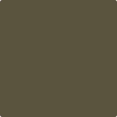 Shop Benajmin Moore's CC-662 Night Owl at Regal Paint Centers in Maryland & Virgina. Maryland's favorite Benjamin Moore dealer.