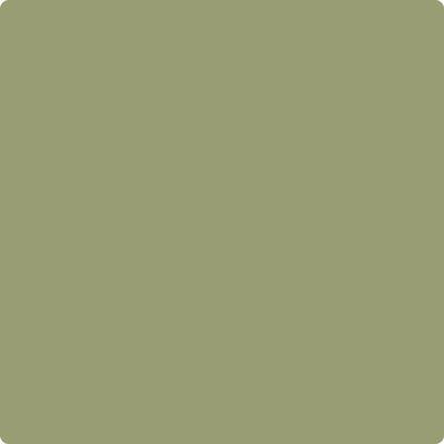 Shop Benajmin Moore's CC-668 Misted Fern at Regal Paint Centers in Maryland & Virgina. Maryland's favorite Benjamin Moore dealer.